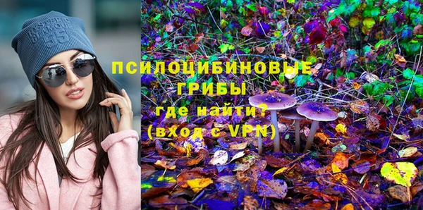 ешки Алексин