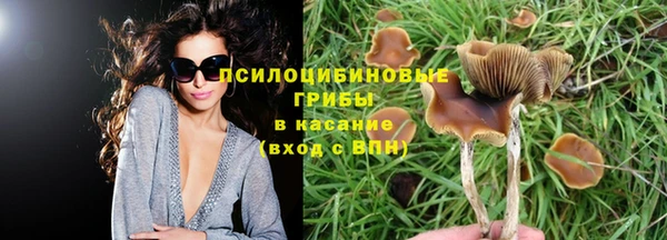скорость Алексеевка