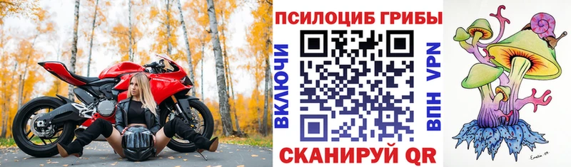 Галлюциногенные грибы прущие грибы  дарк нет клад  Белоярский 
